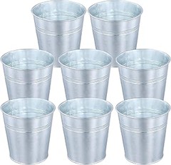 Plantas ideales para cultivar en macetas de metal pequeñas
