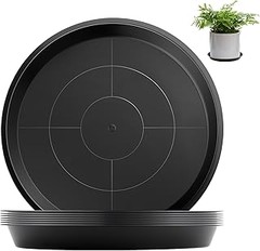 Descubre los mejores platos para macetas negros en Amazon