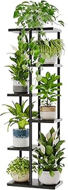 Descubre los mejores soportes para plantas grandes según su tipo