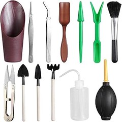 Cómo utilizar un kit para trasplante de suculentas correctamente