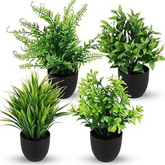 ¿Qué plantas son ideales para macetas en el baño?