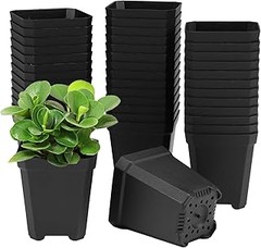 ¿Qué tamaño de planta es mejor para macetas pequeñas cuadradas?