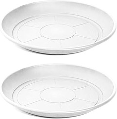 Platos para Macetas Blancas o de Otros Colores: Comparativa y Consejos