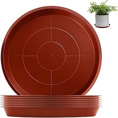 Precios de platos para macetas y las mejores tiendas para comprarlos
