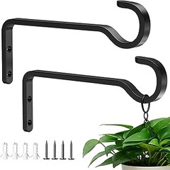Dificultades frecuentes al usar soportes para plantas de pared