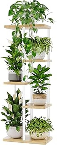 Principales problemas al usar estanterías para plantas de interior