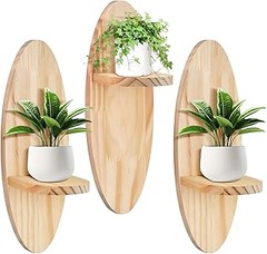 Problemas frecuentes al usar estanterías para plantas de pared