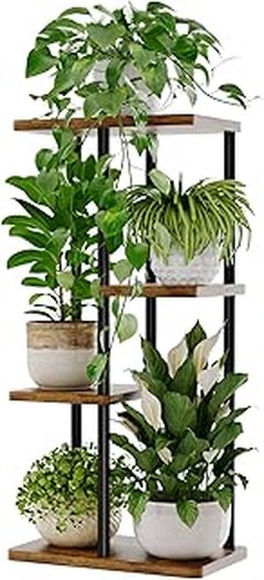 Problemas frecuentes al usar soportes para plantas de interior