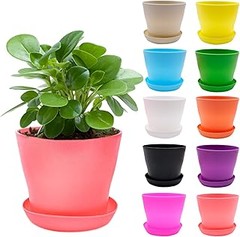 Macetas pequeñas de colores