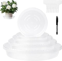 Descubre el tamaño ideal de plato para tus macetas