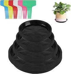 Determinando el tamaño ideal de plato para una maceta redonda de 20 cm