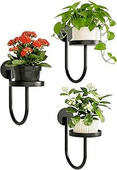 Soportes para plantas de pared