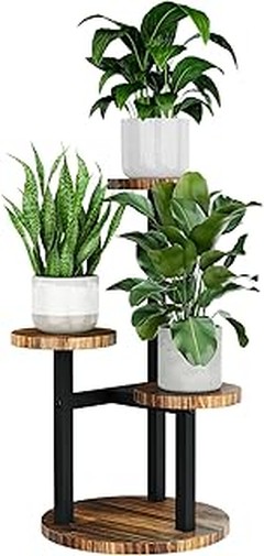 Descubre los mejores soportes para plantas eco-amigables