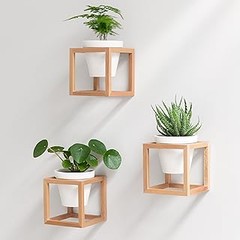 Descubre los tipos de maceteros colgantes para pared y sus diseños