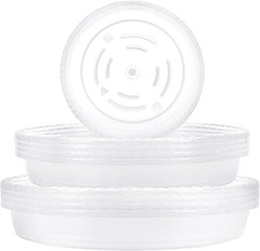 Descubre los diferentes tipos de platos para macetas transparentes