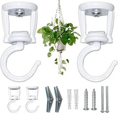 Descubre los Mejores Tipos de Soportes para Plantas Colgantes