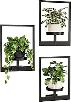 Descubre los diferentes tipos de soportes para plantas de pared