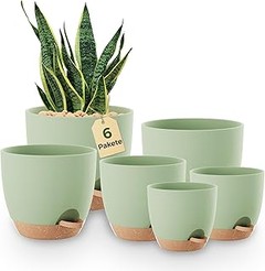 Beneficios de las macetas con autorriego para plantas pequeñas