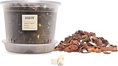 Descubre las ventajas de usar un kit para trasplante de orquídeas