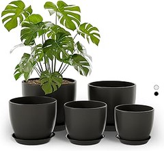 Pros y contras de usar macetas de plástico para tus plantas