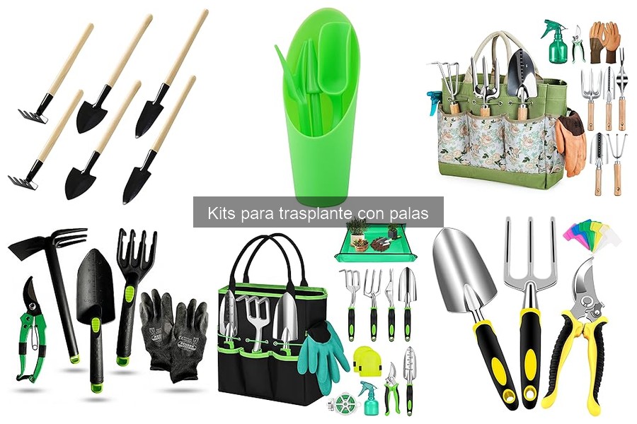 Accesorios Esenciales para Complementar tu Kit de Trasplante