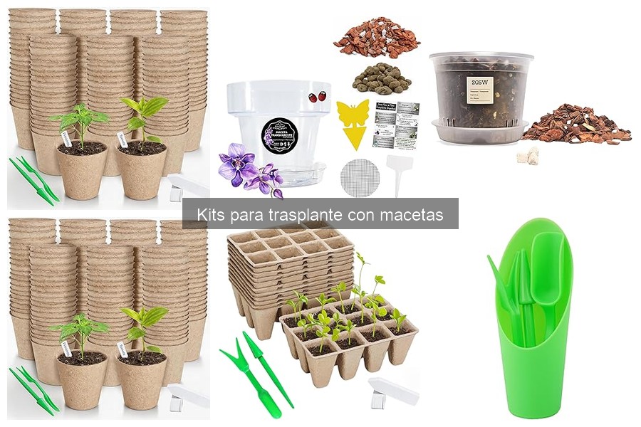 Accesorios útiles para kits de trasplante: ¡mejora tu jardinería!