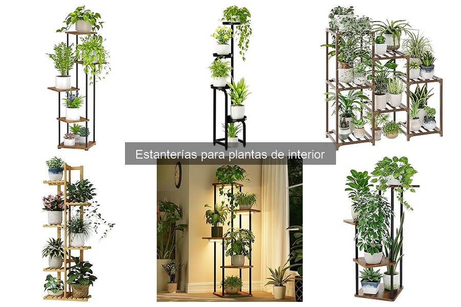 Alternativas a Estanterías para Plantas de Interior