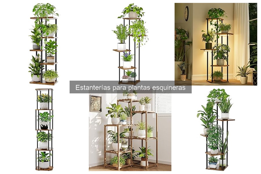 Alternativas a estanterías para plantas esquineras