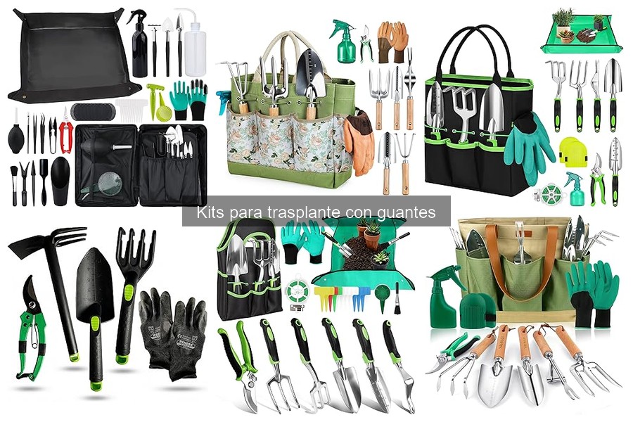 Alternativas a Kits de Trasplante con Guantes para Jardineros