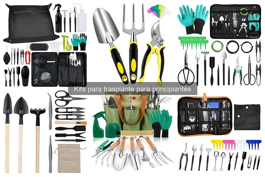 Alternativas a kits de trasplante para principiantes