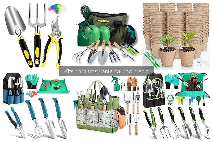 Alternativas a Kits de Trasplante: Soluciones Efectivas
