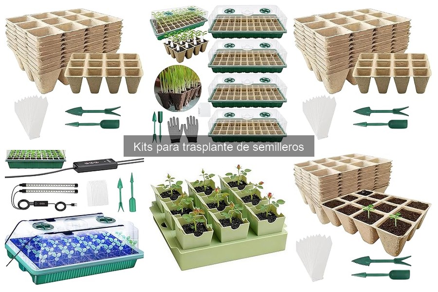 Alternativas a Kits para Trasplante de Semilleros