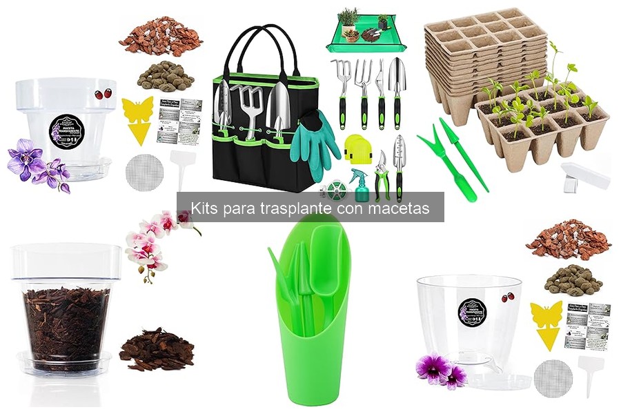 Alternativas a Kits para Trasplante: Mejores Opciones