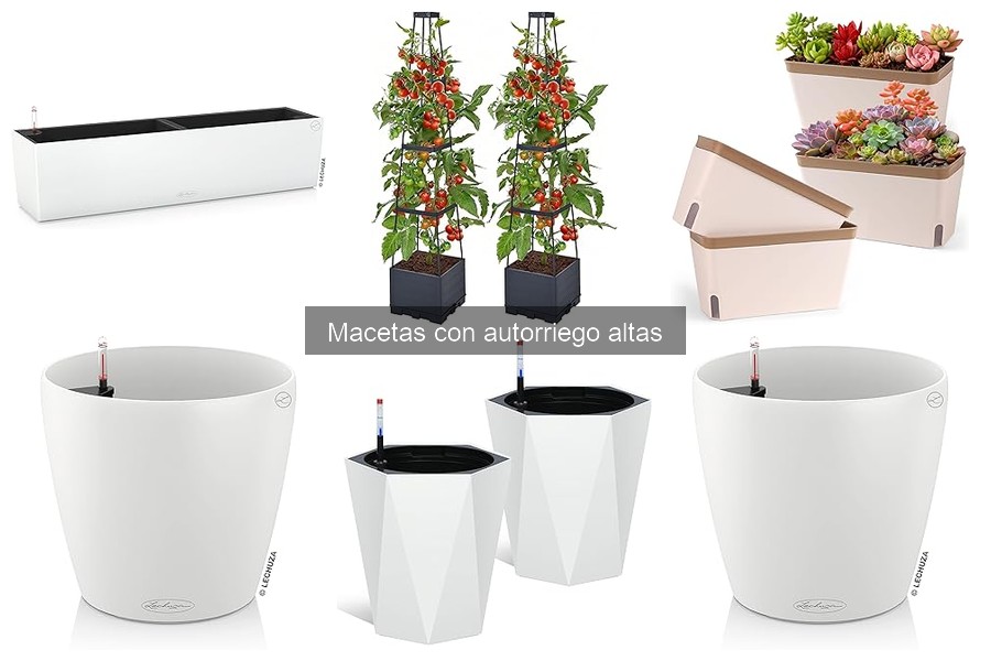 Alternativas a las Macetas con Autorriego Altas para Plantas