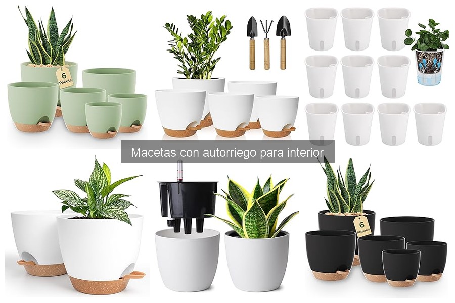 Alternativas a las macetas con autorriego para interiores