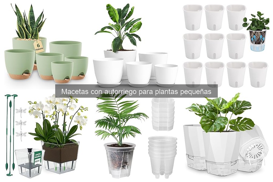 Alternativas a las macetas con autorriego para plantas pequeñas