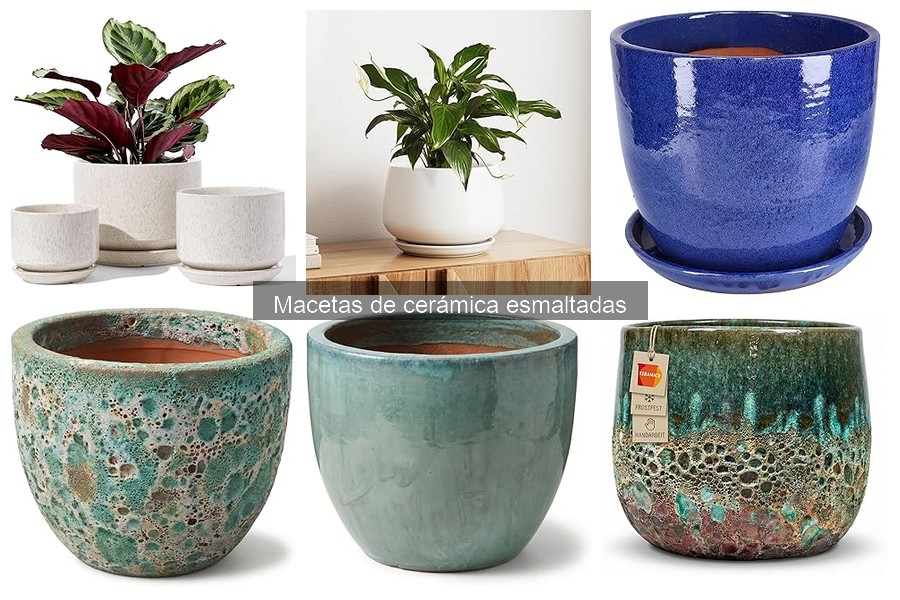 Alternativas a las Macetas de Cerámica Esmaltadas