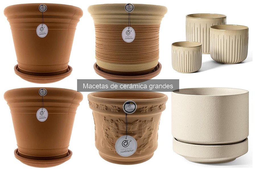 Alternativas a las macetas de cerámica grandes para jardinería
