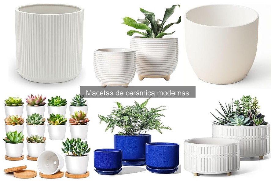 Alternativas a las Macetas de Cerámica Modernas para Tus Plantas