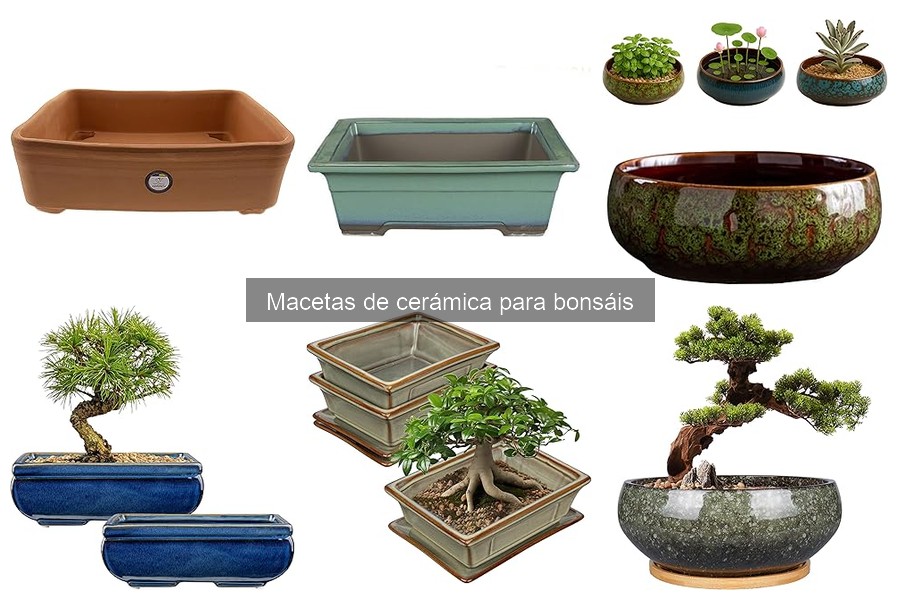 Alternativas a las macetas de cerámica para bonsáis