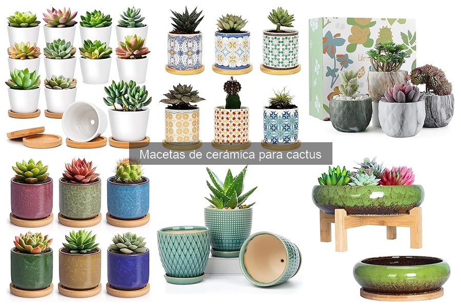 Alternativas a las Macetas de Cerámica para Cactus