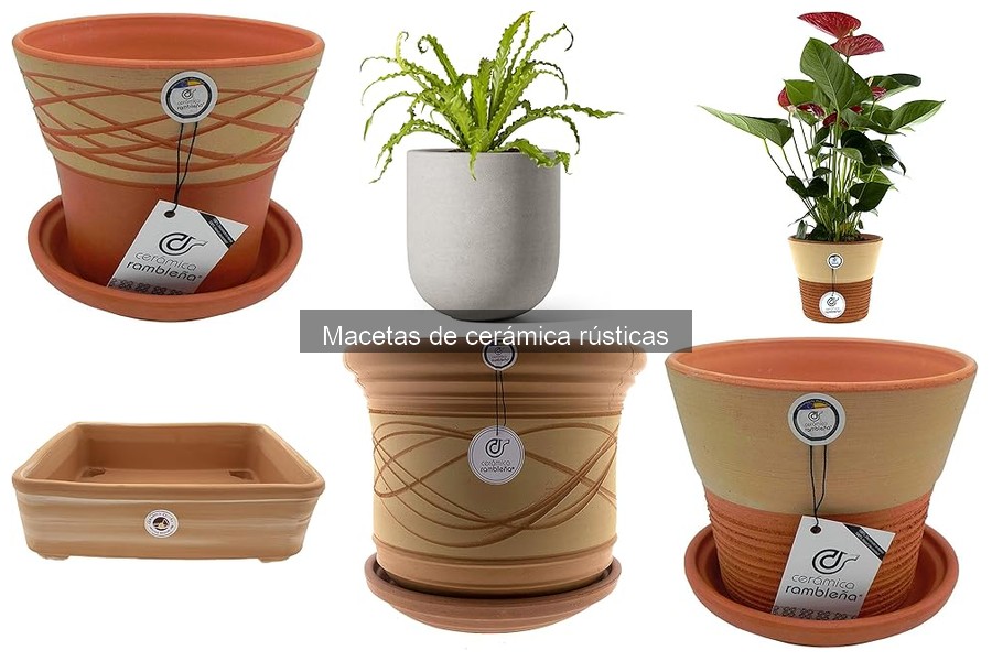 Alternativas a las Macetas de Cerámica Rústicas