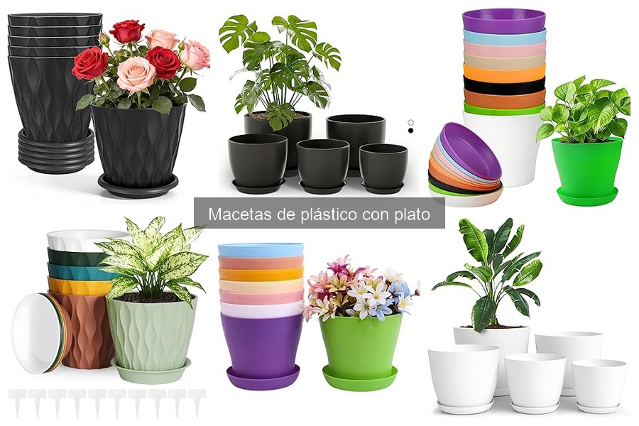 Alternativas a las macetas de plástico con plato