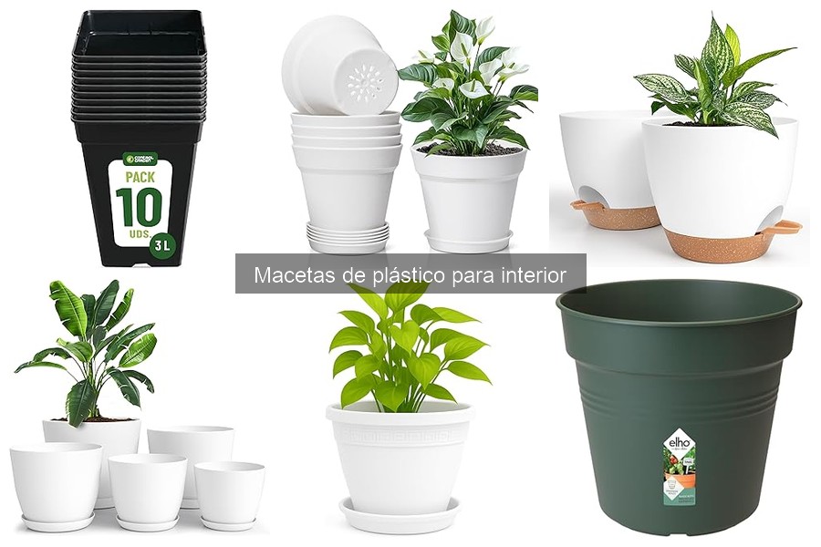 Alternativas a las macetas de plástico para interior