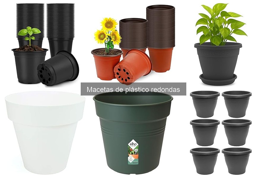 Alternativas a las macetas de plástico redondas para tus plantas