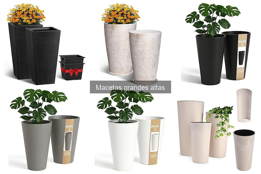 Alternativas a las Macetas Grandes Altas para tus Plantas