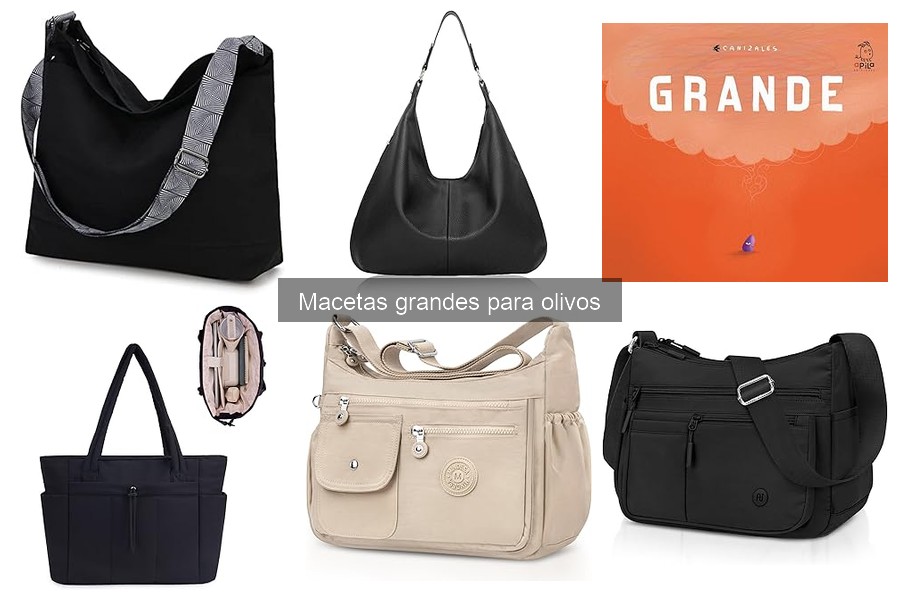 Alternativas a las Macetas Grandes para Olivos: Opciones Efectivas
