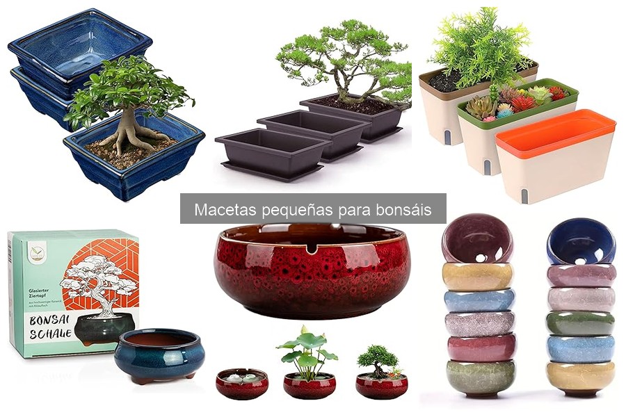 Alternativas a las macetas pequeñas para bonsáis
