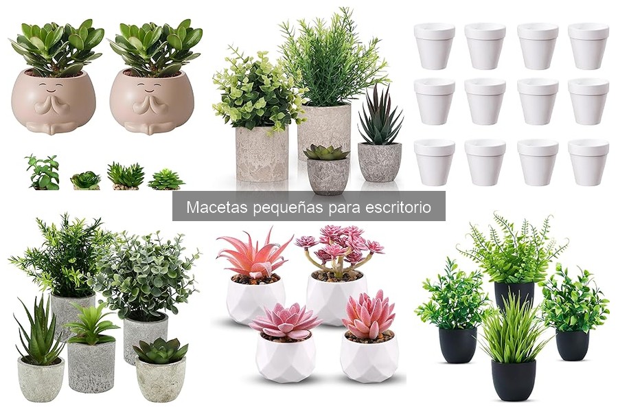 Alternativas a las Macetas Pequeñas para Escritorio