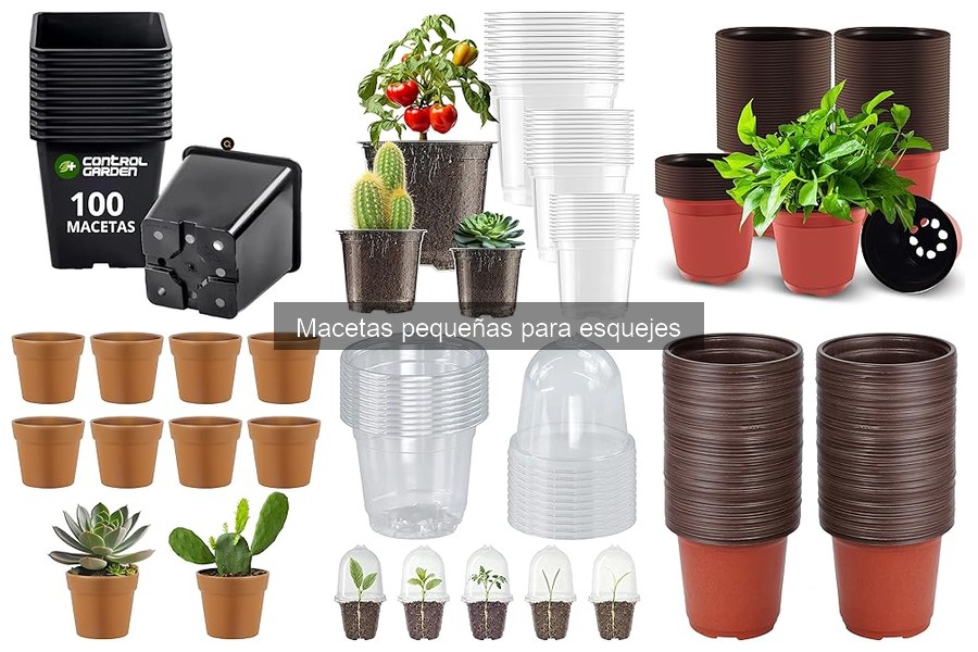 Alternativas a las Macetas Pequeñas para Esquejes